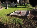 image of grave number 560029